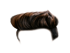 Brown Hair, Tawny Waves, Chestnut Locks, Cocoa Strands, Chocolate Tresses PNG