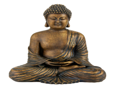 Buddha, Peace, Enlightenment, Liberation, Compassion PNG