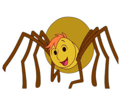 Bug, Fly, Pest, Insect, Critter PNG