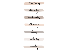 Bullet Journal, Reflection, Productivity, Creativity, Organization PNG