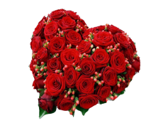 Bunch, Assortment, Group, Collection, Array PNG