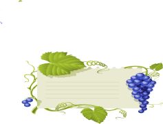 Bunch Grape Vine Leaf, Green Foliage, Botanical Feature, Grape Cluster, Vine Plant PNG