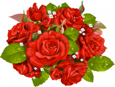 Bunch, Set, Array, Cluster, Collection PNG