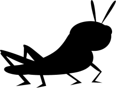 Bush Crickets, Ecosystem, Sound, Habitat, Nature PNG