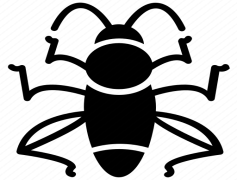 Bush Crickets, Insects, Chirping, Habitat, Biodiversity PNG