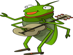 Bush Crickets, Insects, Nature, Sound, Biodiversity PNG