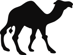 Camels, Nomadic, Dromedary, Adaptation, Hump PNG