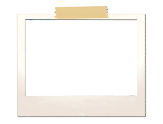 Camera Frame, Scene Border, Image Outline, Visual Border, Snapshot Edge PNG