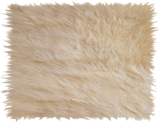 Carpet, Home, Softness, Flooring, Decor PNG