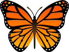 Cartoon Butterfly PNG