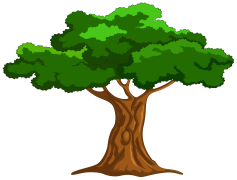Cartoon Tree, Animated, Nature, Greenery, Fun PNG