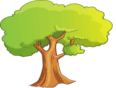 Cartoon Tree, Colorful Leaves, Playful Trunk, Animated Growth, Fun Landscape PNG