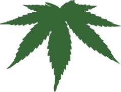 Cartoon Weed Leaf, Colorful Herb Leaf, Cheery Ganja Leaf, Animated Greenery Icon, Stylish Hemp Emblem PNG