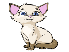 Cat Cartoon, Feline Fun, Pet Adventures, Humor, Playful Kittens PNG