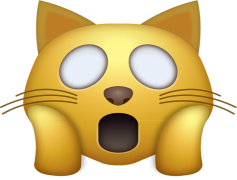 Cat Emoji, Kitty Emoticon, Whiskers Symbol, Pet Face, Cuddly Animal PNG