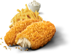 Catfish, Aquatic, Freshwater, Habitat, Species PNG