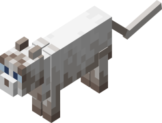 Cats, Cuddly, Mischievous, Whiskers, Purring PNG