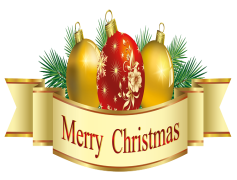 Christmas Joy, Seasonal Delight, Festive Spirit, Family Gathering, Celebration Time PNG