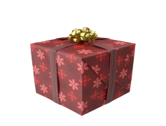 Christmas Present, Holiday, Gift, Surprise, Celebration PNG