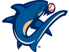 Clearwater Threshers, Clearwater Stadium, Baseball Team, Florida Sports, Minor League PNG