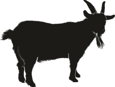 Clipart Vector Goat Black, Nature, Barn, Farmyard, Horns PNG