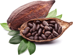 Cocoa, Beans, Chocolate, Dessert, Sweet PNG