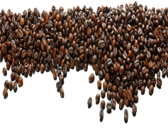 Coffee Beans, Aroma, Espresso, Organic, Arabica PNG