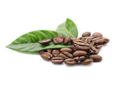 Coffee Beans, Specialty, Organic, Gourmet, Roasted PNG