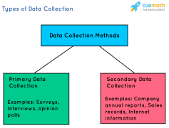 Collection, Set, Archive, Selection, Assortment PNG