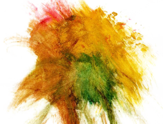 Color, Shade, Spectrum, Tone, Tint PNG