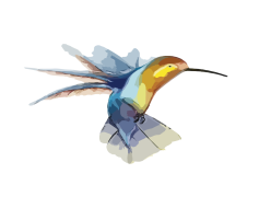 Colorful Flying Hummingbird, Nectar Feeder, Delicate Wings, Vibrant Bird, Exotic Avian PNG