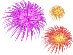 Colorful Vector Fireworks Festival, Event, Sparkle, Festive, Celebration PNG