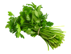 Coriander, Garnish, Aroma, Spice, Herb PNG