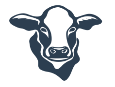 Cow Head, Farm Life, Animal Symbol, Livestock Art, Farmhouse Accent PNG