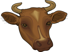 Cow Head, Livestock Symbol, Animal Anatomy, Rustic Decor, Nature Representation PNG
