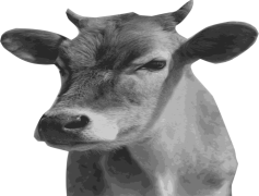 Cow Head, Rustic Decor, Country Aesthetic, Nature Emblem, Farm Life PNG