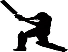 Cricket Silhouette, Sport, Team, Bat, Player PNG