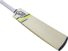 Cricket, Sport, Ball, Match, Wicket PNG