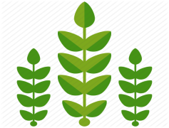 Crop Styles, Crop Methods, Crop Elements, Crop Variations, Crop Techniques PNG