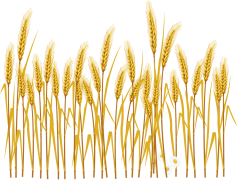 Crop Tool, Crop Settings, Crop Editor, Crop Function, Crop Feature PNG