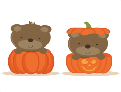 Cute Pumpkin PNG Pic