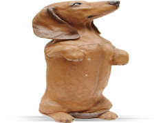 Dachshund, Pet, Sausage, Companion, Canine PNG