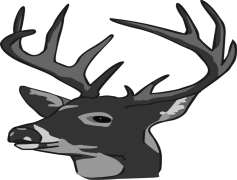Deer Head, Taxidermy, Rustic, Decor, Wildlife PNG