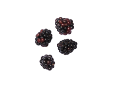 Dewberry, Wild, Berry, Edible, Sweet PNG