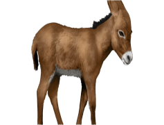 Donkey, Character, Animal, Mule, Mammal PNG