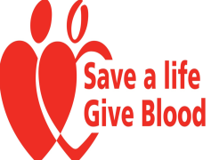 Donor, Giver, Philanthropist, Charity, Contribution PNG