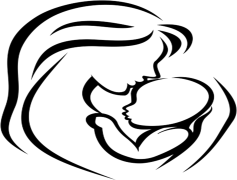 Drawing Art, Sketching Fundamentals, Color Application, Artistic Technique, Pencil Mastery PNG