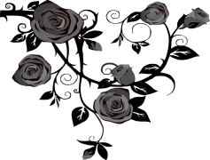 Drawing Of Roses, Rose Illustration, Hand-Drawn Flowers, Elegant Petals, Artistic Blooms PNG
