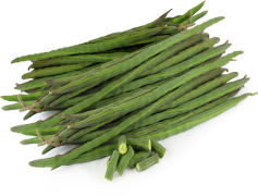 Drumstick, Chicken, Leg, Meat, Food PNG