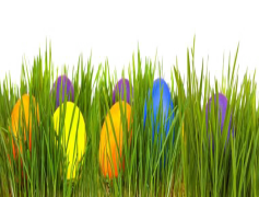 Easter Egg Grass, Festive Filler, Holiday Craft Supply, Colorful Shredded Grass, Seasonal Party Decor PNG